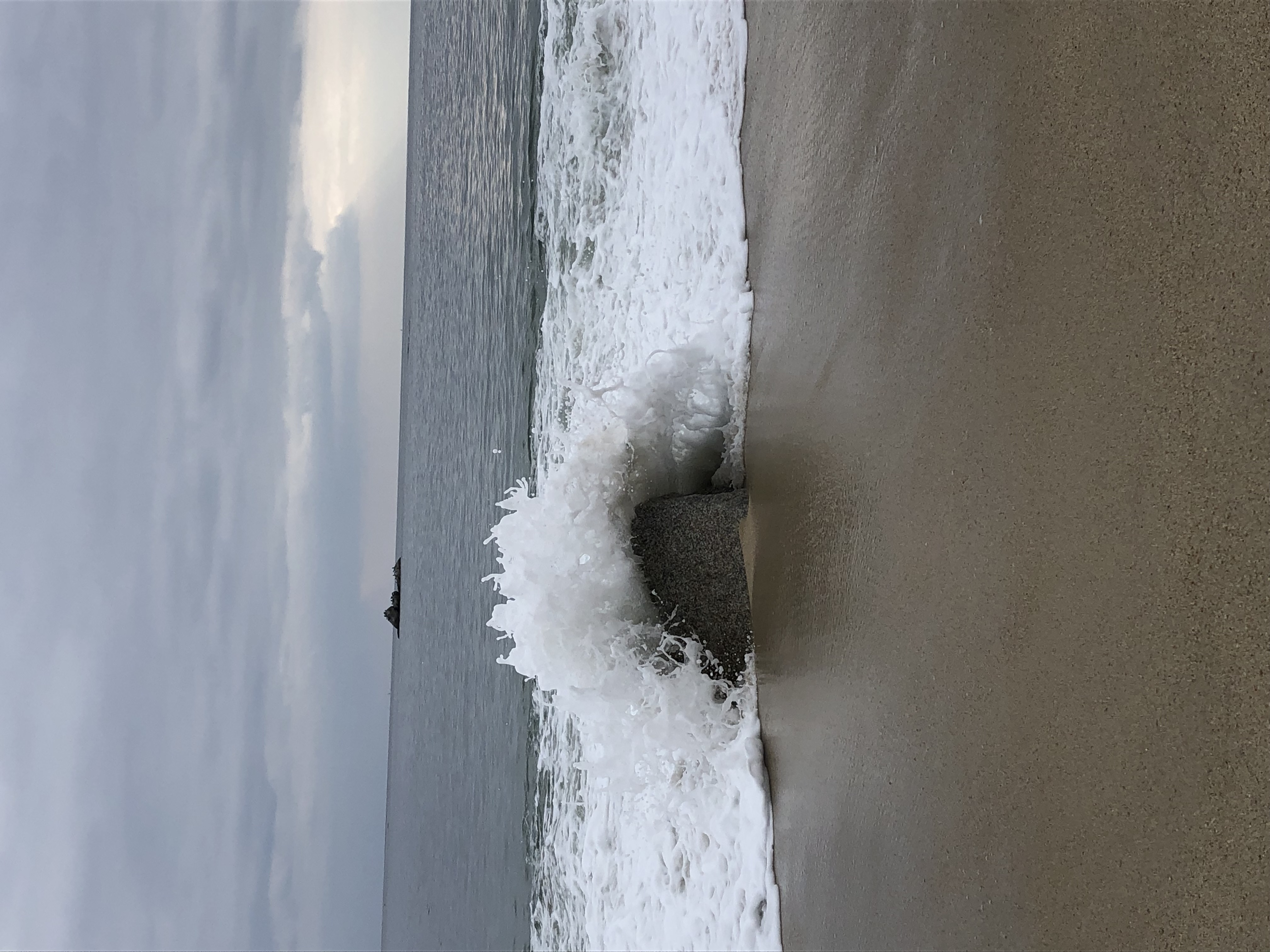 Am Strand